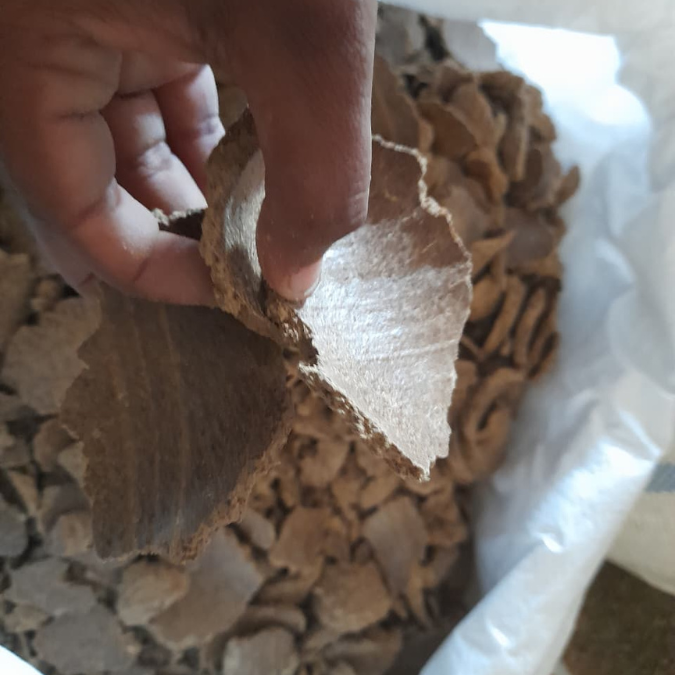 মাছের খাদ্য হিসেবে বাদামের খৈল